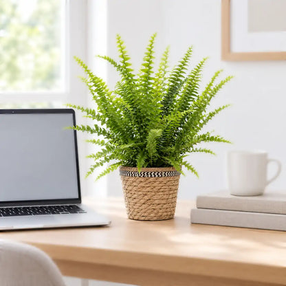 Schwertfarn Green Lady im Korb neben Laptop und Tasse auf dem Schreibtisch