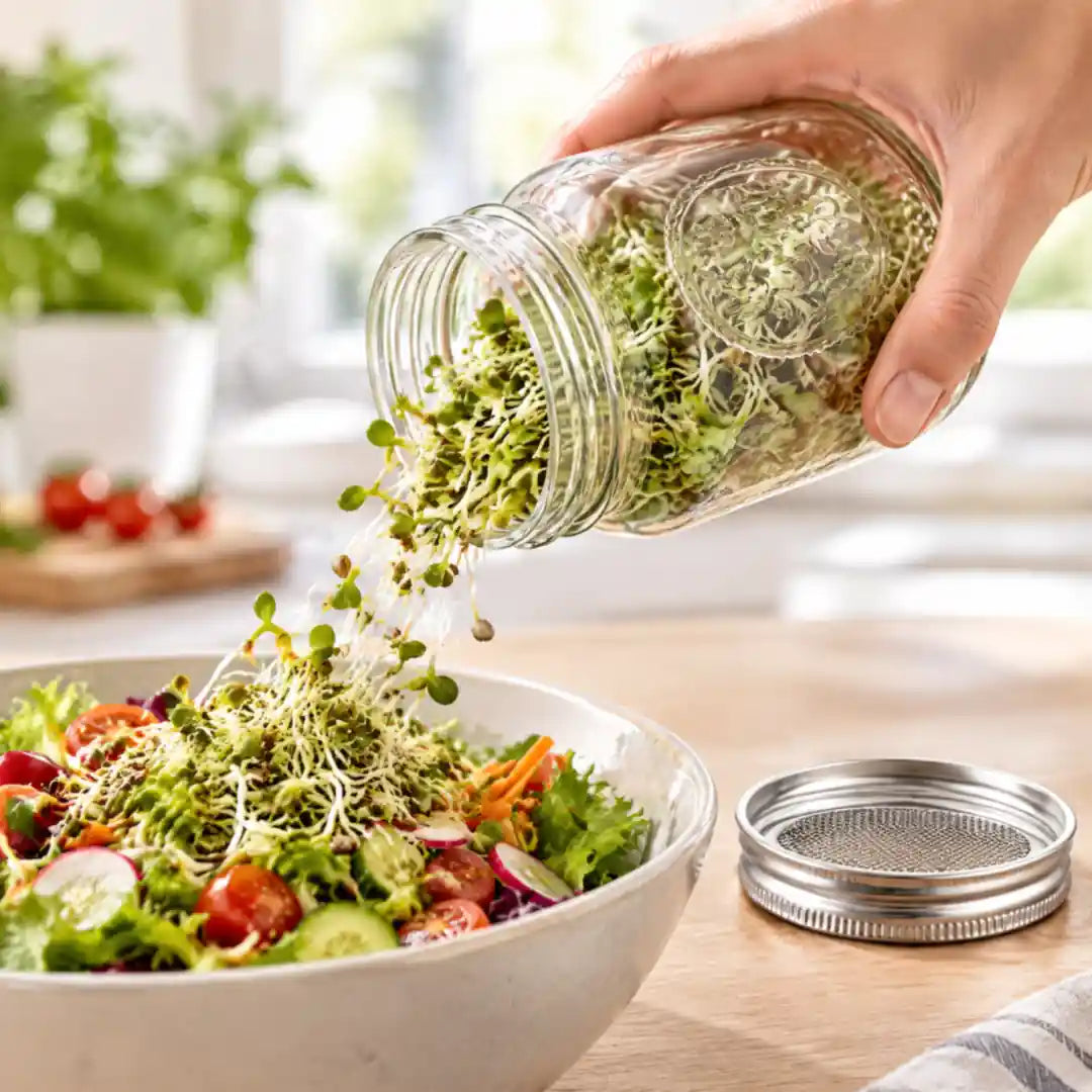 Frische Sprossen werden aus dem Keimglas über einen Salat gestreut