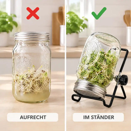 Vergleich: Glas aufrecht mit stehendem Wasser und Sprossenglas im Ständer