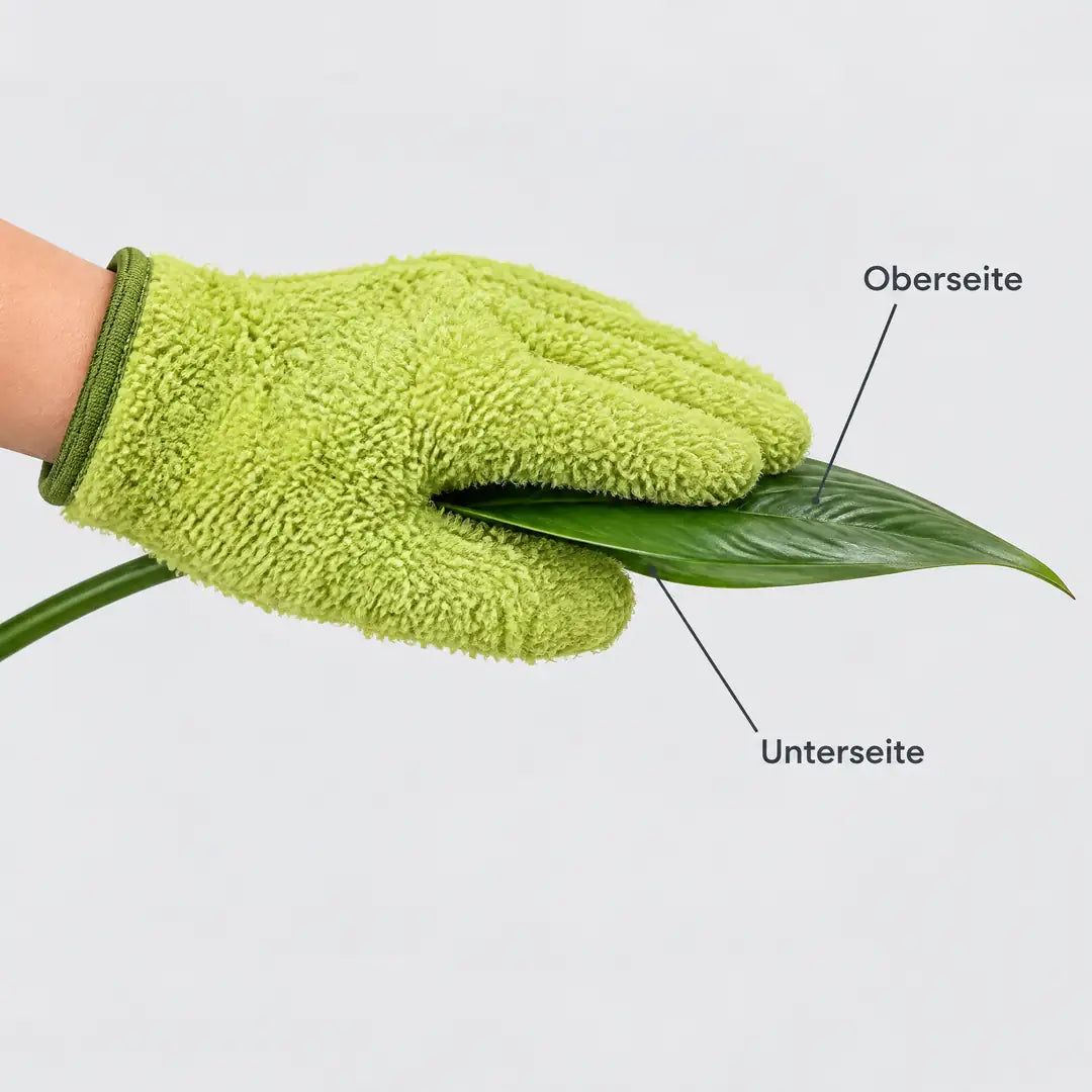 Blatt zwischen Daumen und Handfläche, Oberseite und Unterseite gleichzeitig