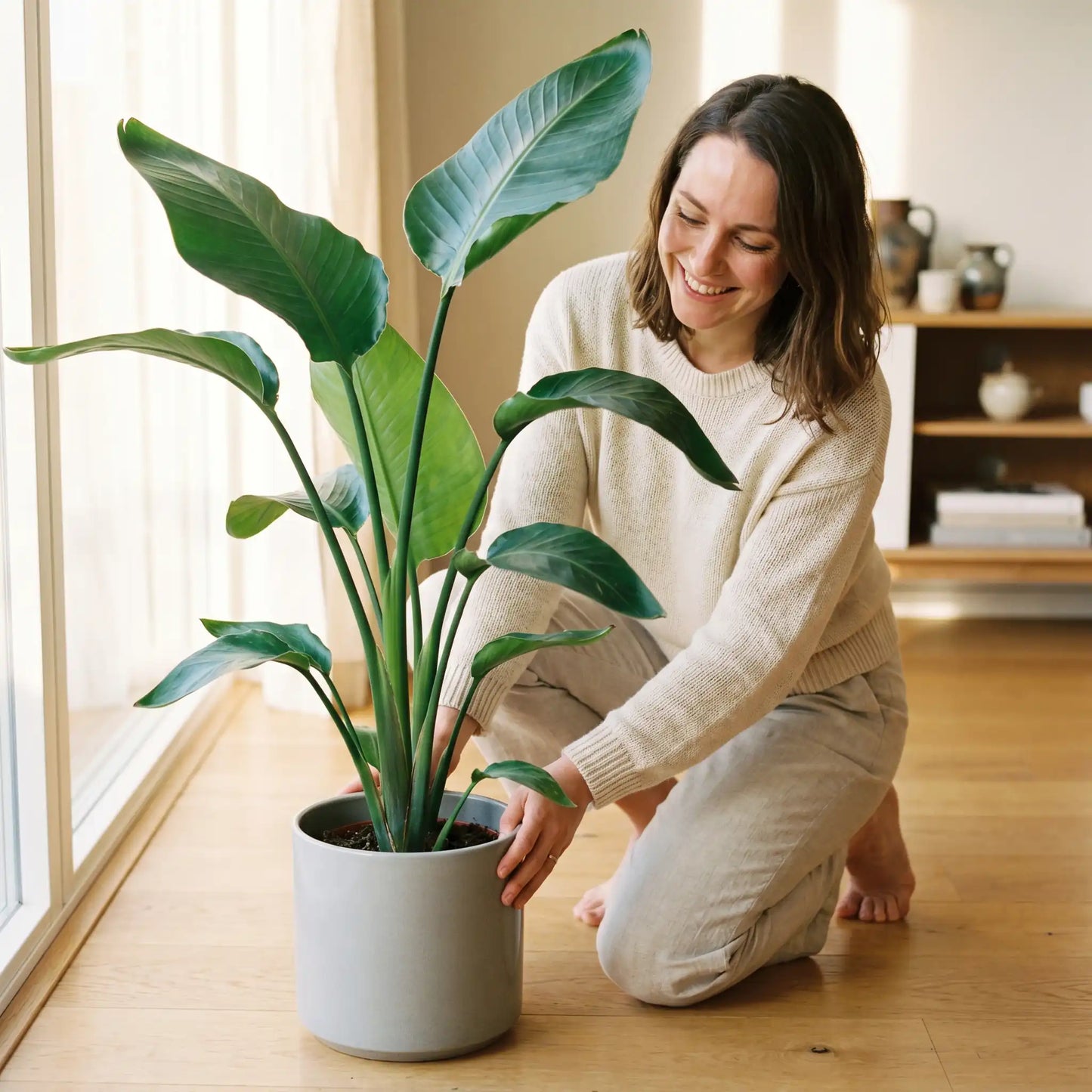Frau arrangiert die Strelitzia Nicolai im hellen Wohnraum