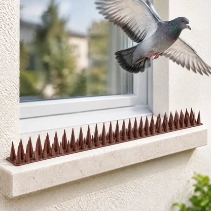 Taube dreht über einer mit Spikes geschützten Fensterbank ab