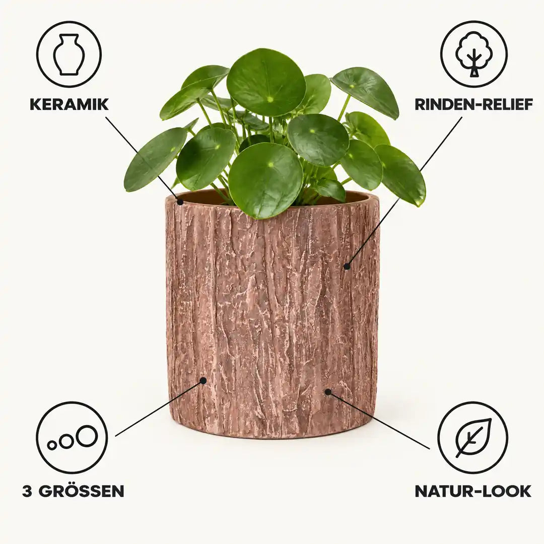 Merkmale des Übertopfs: Keramik, Rinden-Relief, 3 Größen, Natur-Look