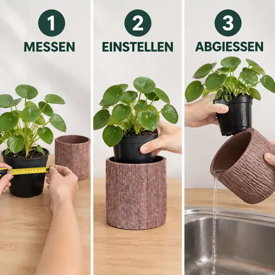 Anwendung in drei Schritten: Anzuchttopf messen, in den Übertopf stellen, Wasser abgießen