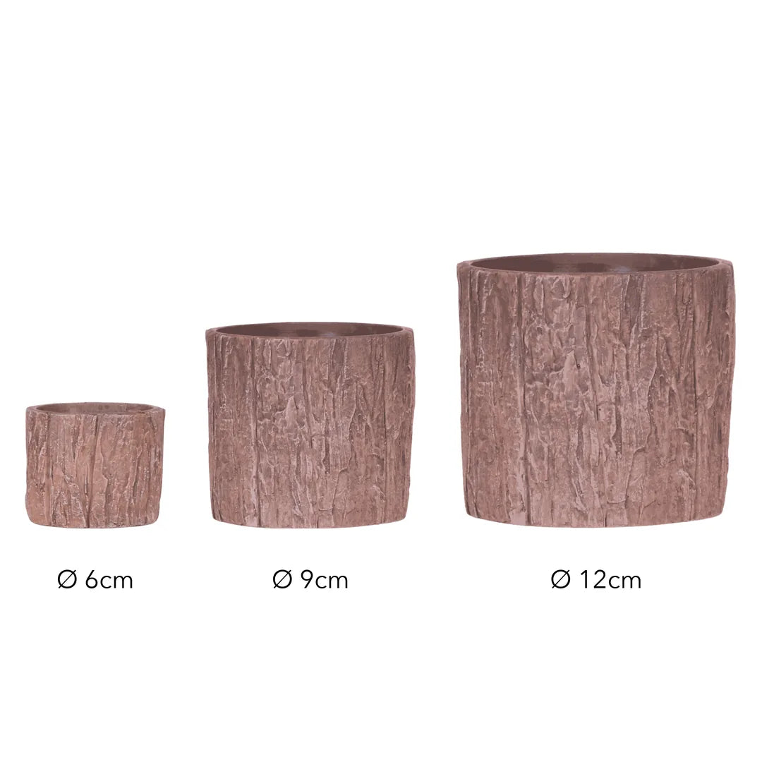 Größen des Übertopfs in Holzoptik: Ø 6 cm, Ø 9 cm und Ø 12 cm