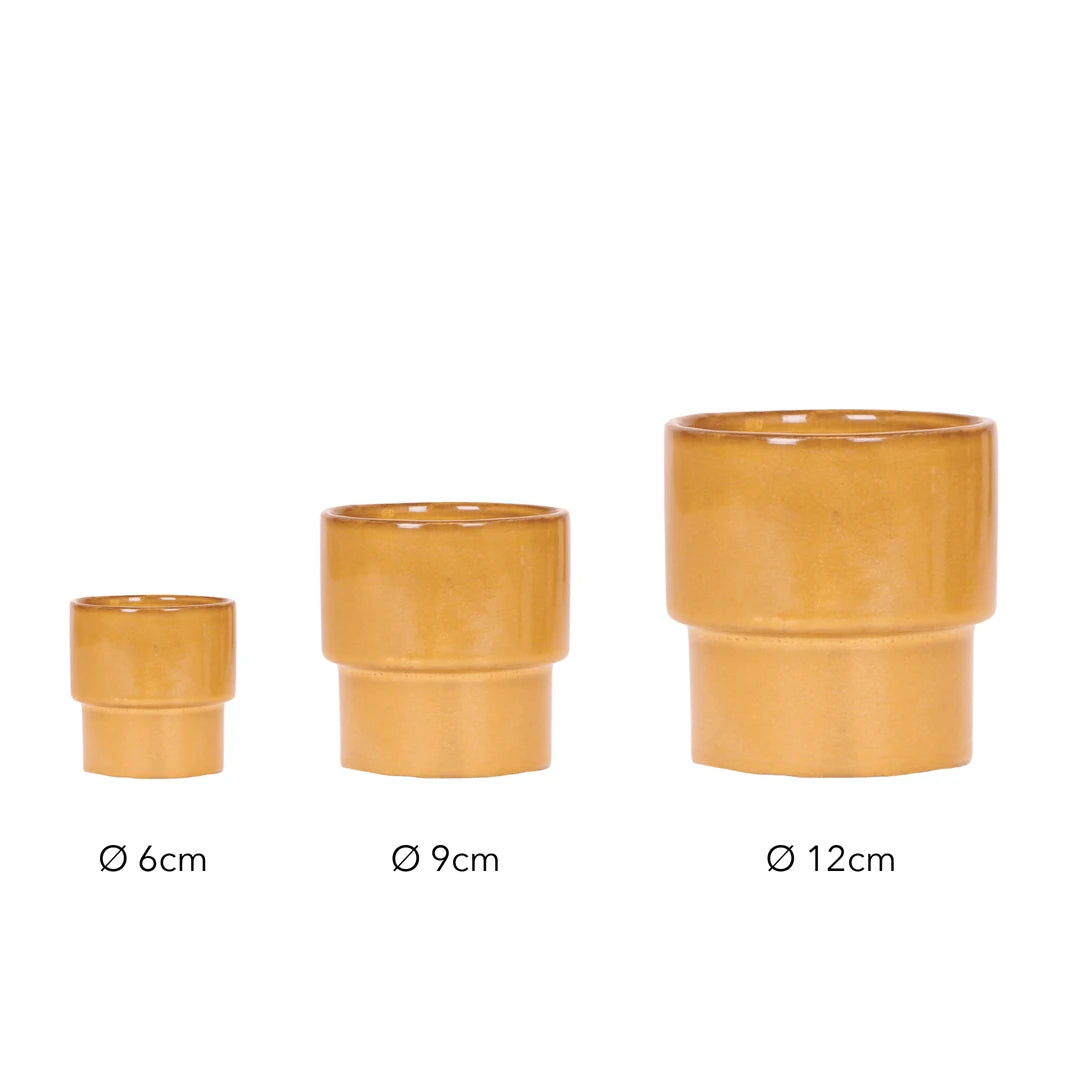 Größen Übertopf: Ø 6 cm, Ø 9 cm, Ø 12 cm