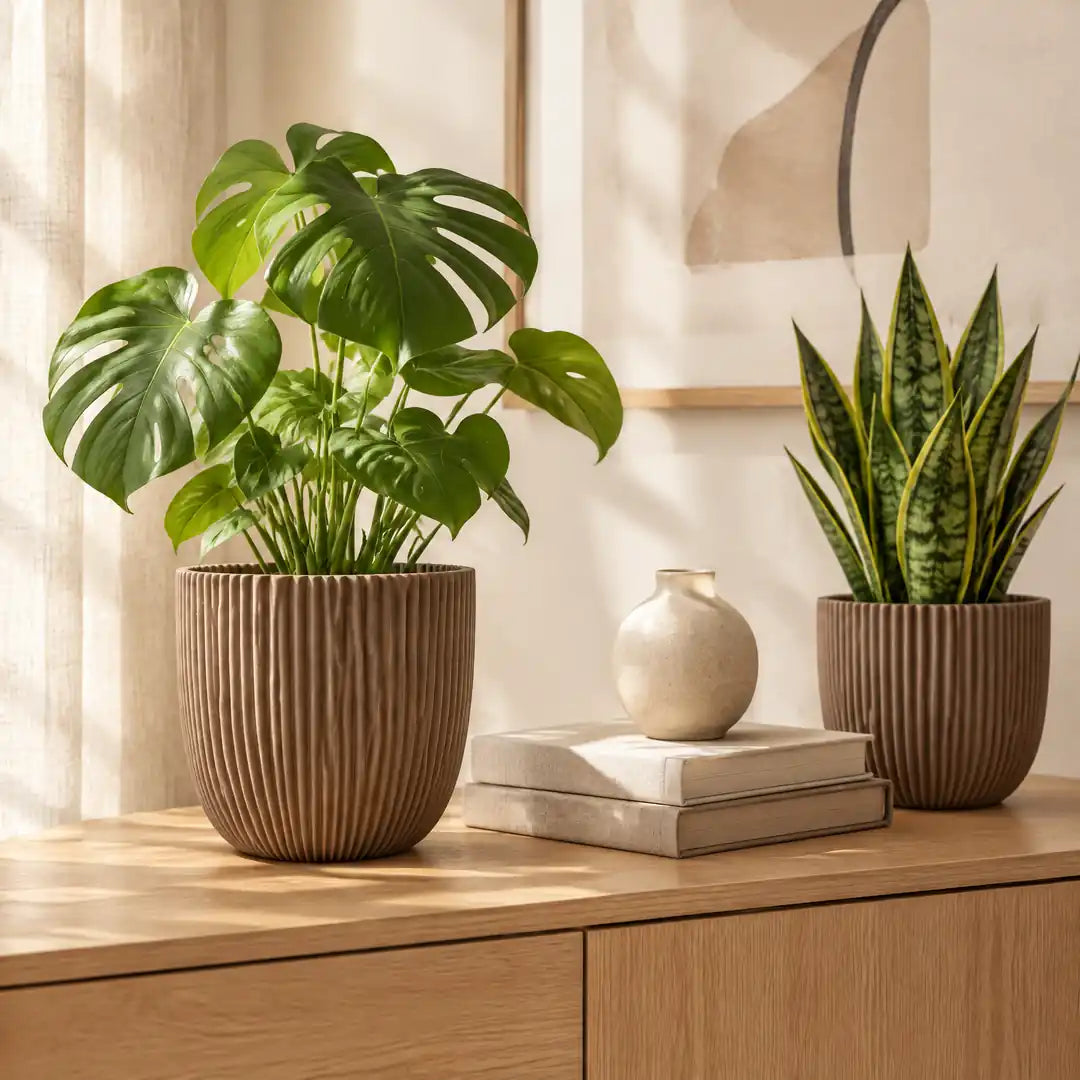 Großer Übertopf in Taupe mit Monstera auf einem Eichen-Sideboard im Wohnzimmer