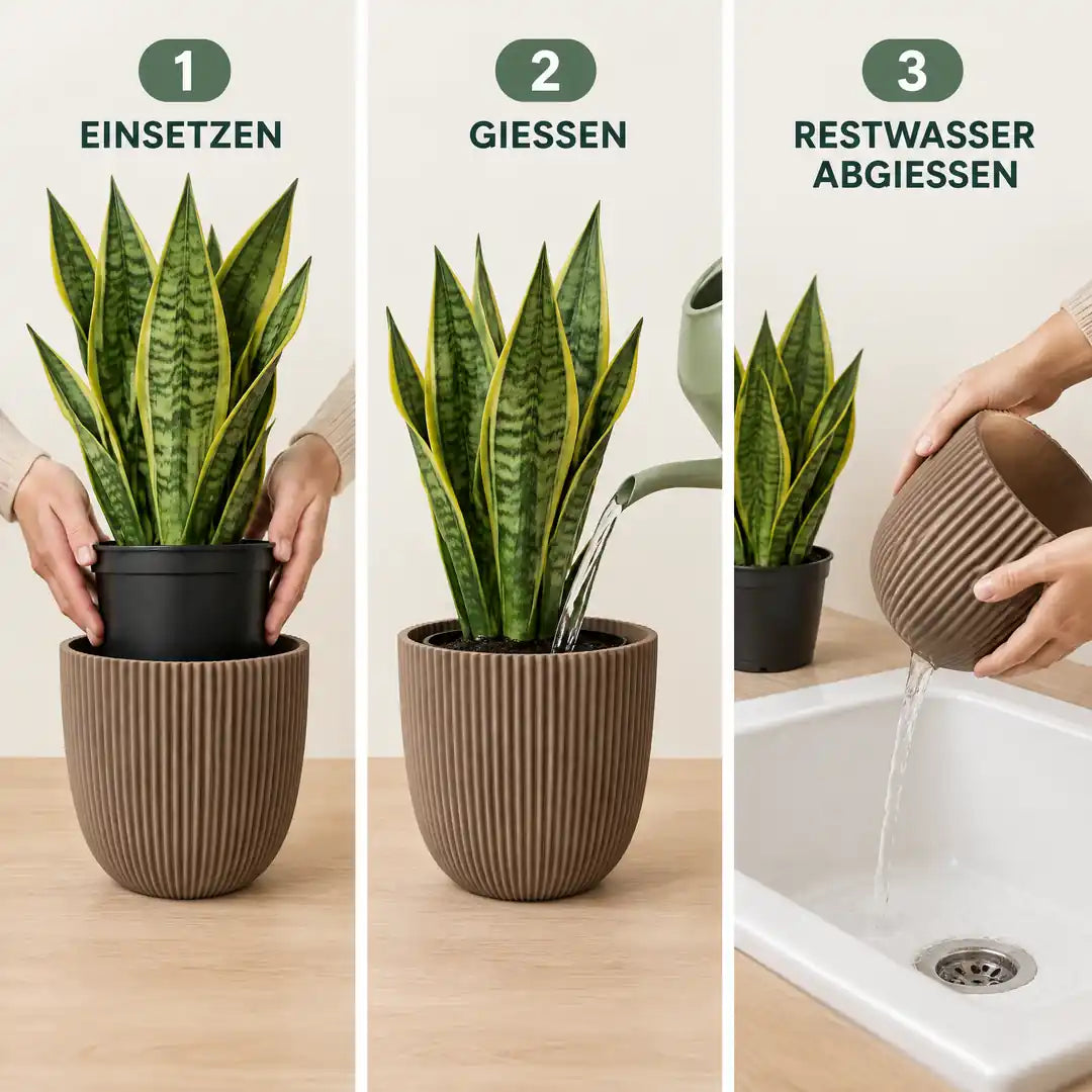 Anwendung in drei Schritten: Kulturtopf einsetzen, gießen, Restwasser abgießen