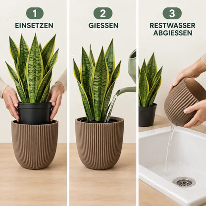Anwendung in drei Schritten: Kulturtopf einsetzen, gießen, Restwasser abgießen