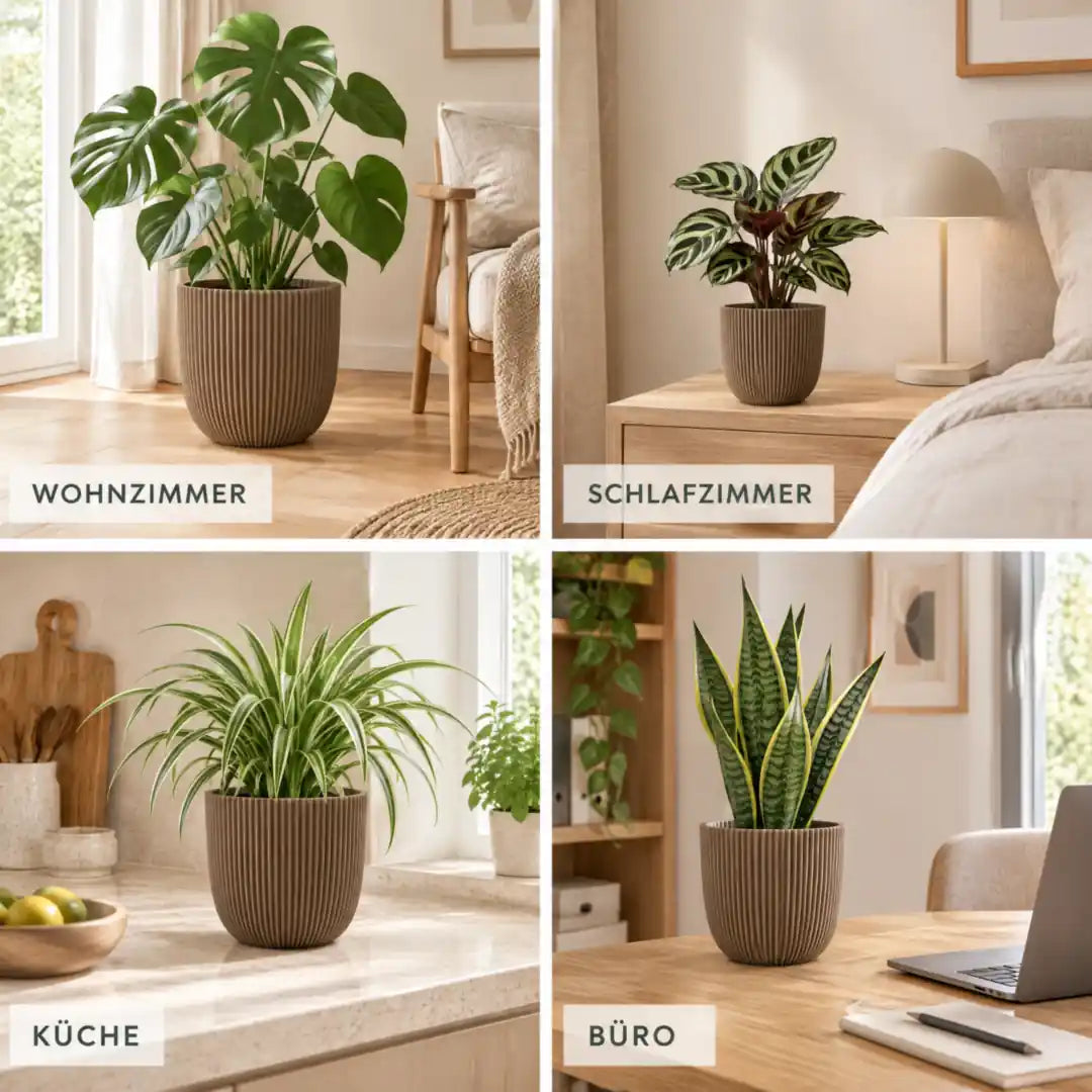 Einsatzorte des Übertopfs: Wohnzimmer, Schlafzimmer, Küche und Büro