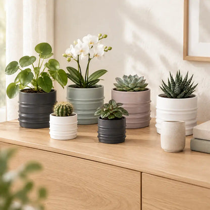 Matte Übertöpfe mit Rillen in vier Farben mit kleinen Zimmerpflanzen auf einem Eichen-Sideboard