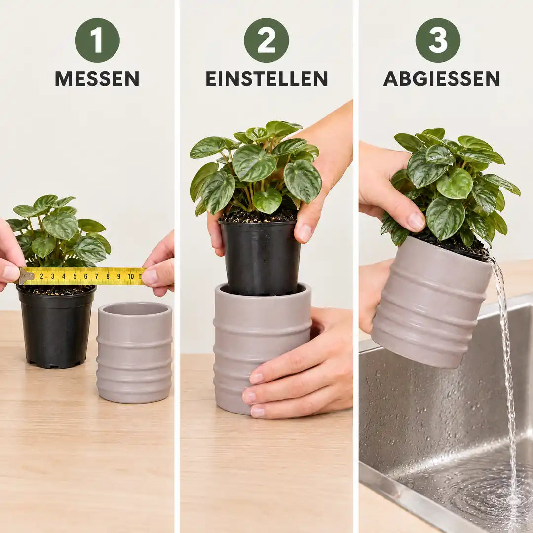 Anwendung in 3 Schritten: Anzuchttopf messen, in den Übertopf stellen, Wasser abgießen