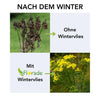 Wintervlies - Thermovlies - Winter Pflanzenschutz - Frostschutz - Florade.de _wf_cus