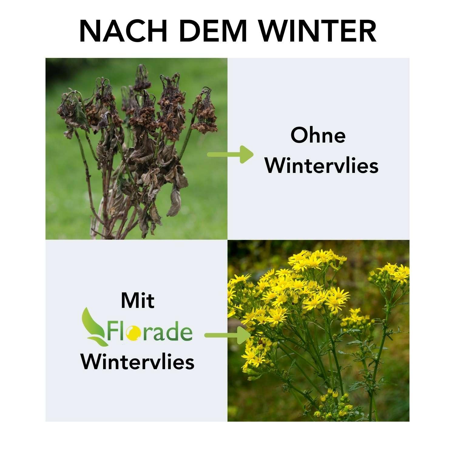 Wintervlies - Thermovlies - Winter Pflanzenschutz - Frostschutz - Florade.de _wf_cus