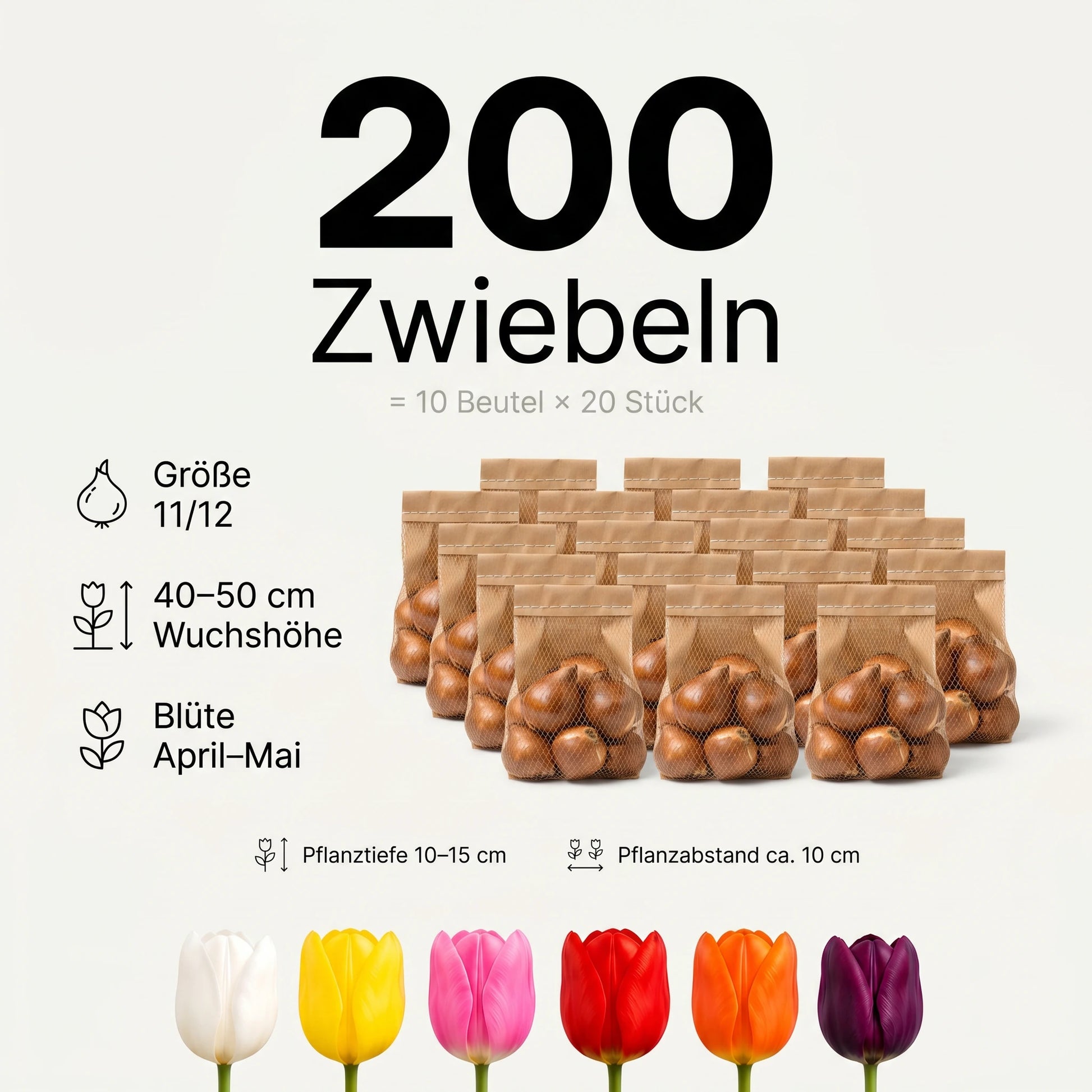 Infografik: 200 Tulpenzwiebeln (10 Beutel à 20 Stück), Größe 11/12, 40–50 cm hoch, Blüte April bis Mai