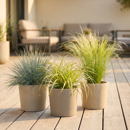Ziergräser-Trio: Blauschwingel, Carex Evergold und Federgras als Dreiergruppe im sonnigen Gartenbeet