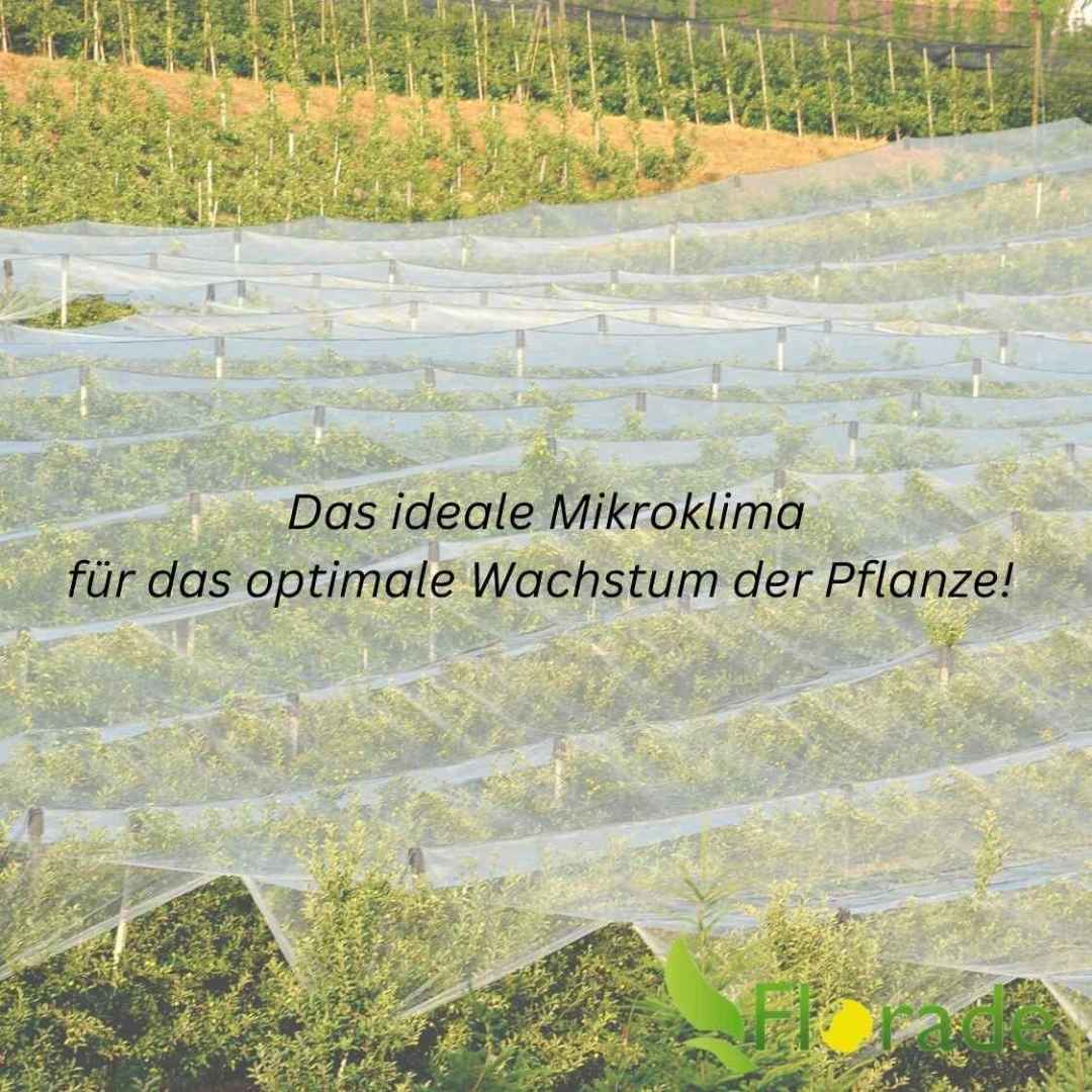 Abdeckvlies - Ernteschutzvlies - Verfrühungsvlies - Schutzvlies - Florade.de 