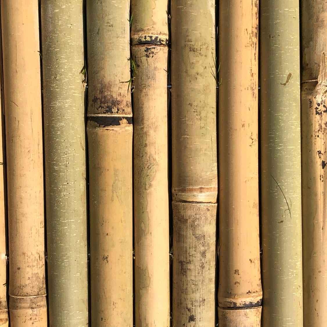 Bambus Steck-Rasenkante Beeteinfassung - Florade.de Beeteinfassung, Beetumrandung, Rasenkante