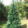 Florade Künstlicher Weihnachtsbaum, Tannenbaum inkl. Ständer - Florade.de 