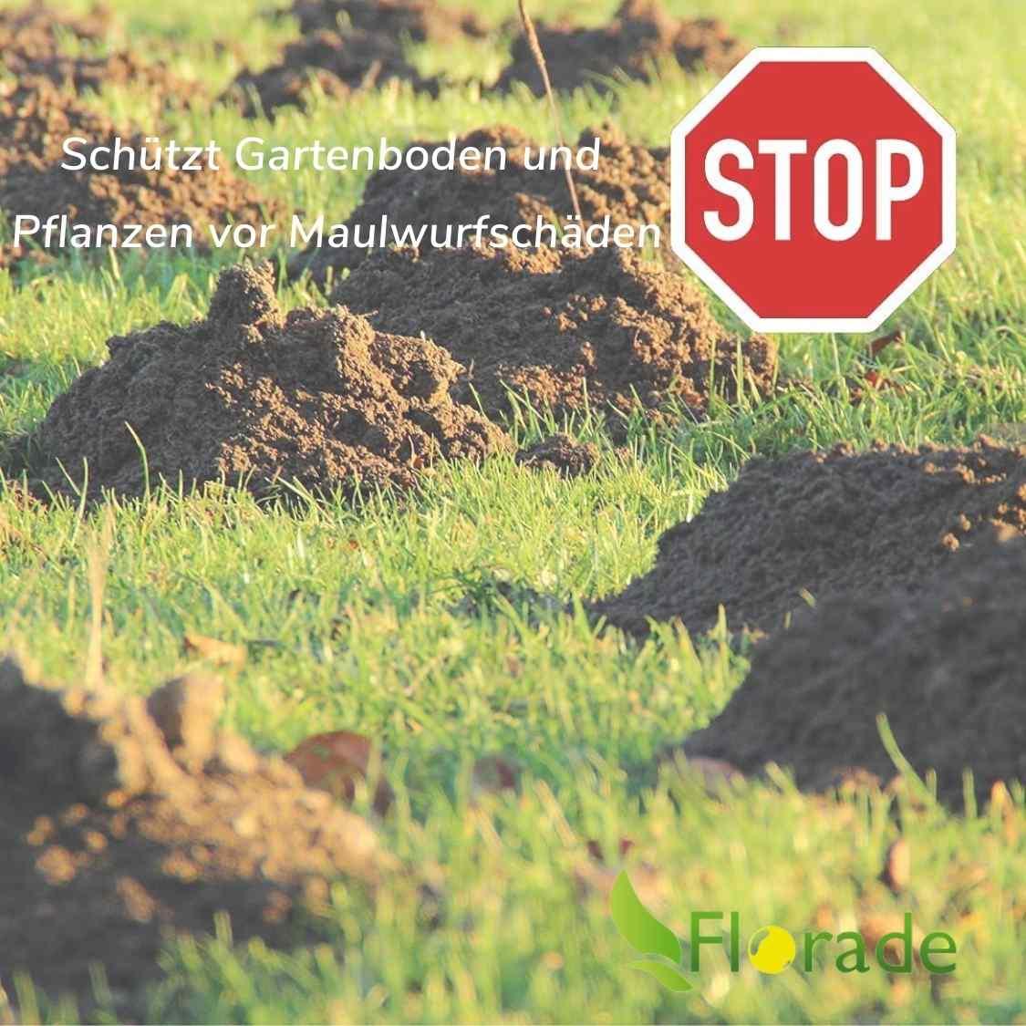 Maulwurfnetz | 80g/m² | Flexibel für Unebenheiten - Florade.de Maulwurf vertreiben, Maulwurfnetz, Maulwurfschutz, Maulwurfsperre