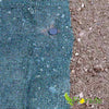 Maulwurfnetz | 80g/m² | Flexibel für Unebenheiten - Florade.de Maulwurf vertreiben, Maulwurfnetz, Maulwurfschutz, Maulwurfsperre