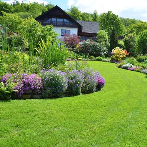 Gartenrasen Universalrasen-Saatgut - Rasensamen - Rasensaat - Rasen 2kg - Florade.de Rasen, Rasensaat, Rasensamen, Saatgut