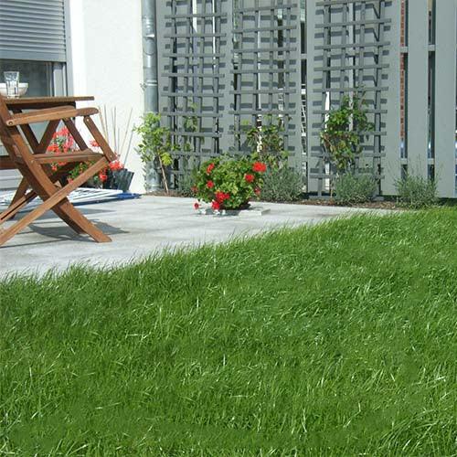 Gartenrasen Universalrasen-Saatgut - Rasensamen - Rasensaat - Rasen 2kg - Florade.de Rasen, Rasensaat, Rasensamen, Saatgut
