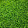Sport- und Spielrasen - Rasensamen - Rasensaat - Rasen 2kg - Florade.de Rasen, Rasensamen, Spielrasen, Sportrasen
